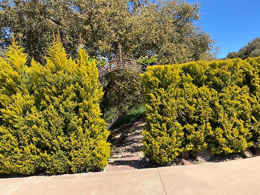 StoneMountainEstates 2023-03-28 STST 113 2 StoneMountainEstates 2023-03-28 STST 113 2