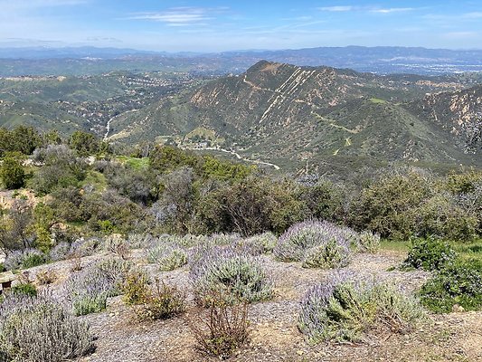 StoneMountainEstates 2023-03-28 STST 060 2