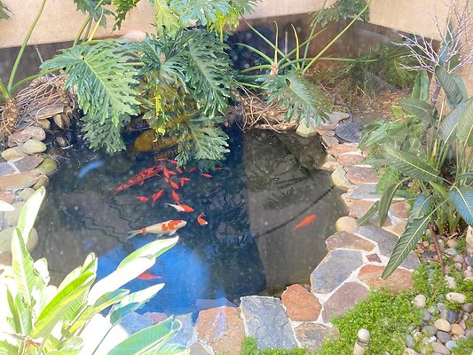 StoneMountainEstates 2023-03-28 STST 086 2 StoneMountainEstates 2023-03-28 STST 086 2