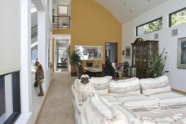 UNIVERSAL-9412-TZ-12