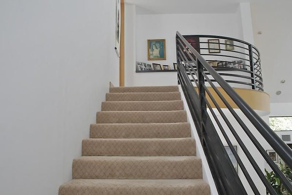 UNIVERSAL-9412-TZ-30