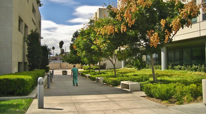 RTR-9137-014 RTR-9137-014