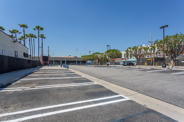 1716-ArtsDist 005 1716-ArtsDist 005