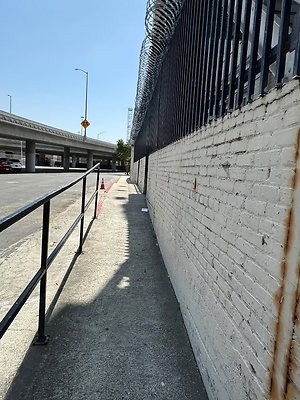 th IMG 0513 th IMG 0513