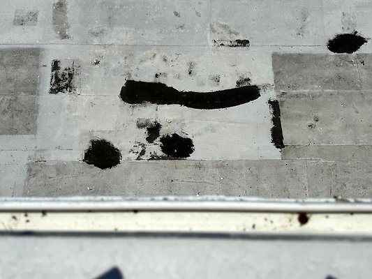 th IMG 0491 th IMG 0491