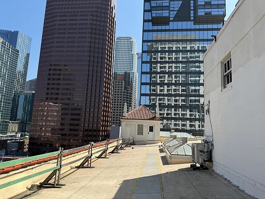 th IMG 0317 th IMG 0317