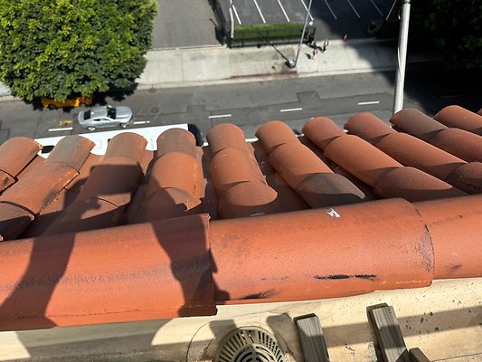 th IMG 0329 th IMG 0329