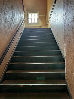 th IMG 0311 th IMG 0311