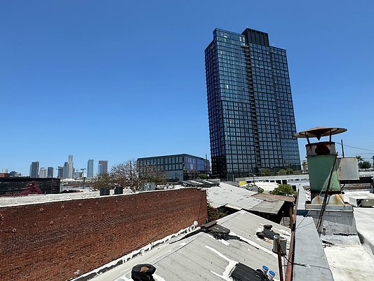 th IMG 0782 th IMG 0782