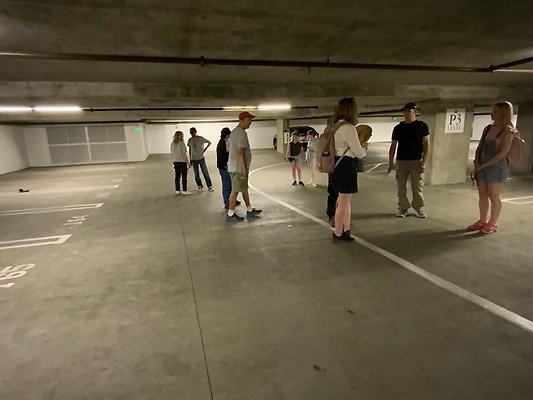 IMG 1242