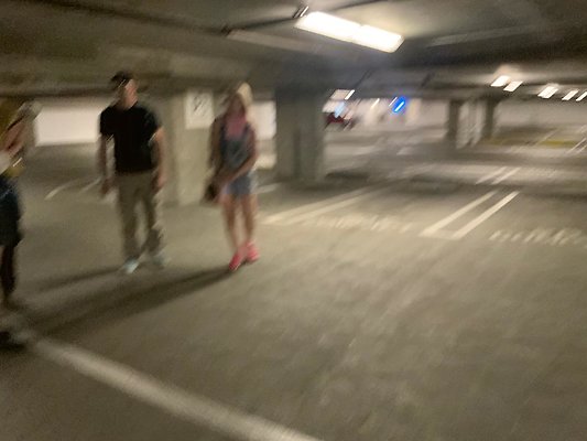 IMG 1241