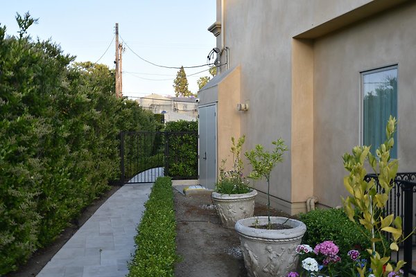 CFG 4781 2 CFG 4781 2