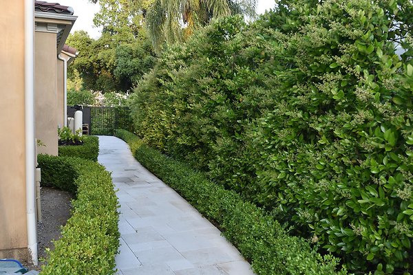 CFG 4797 2 CFG 4797 2