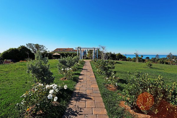 UNIVERSAL-9743-MA-141 UNIVERSAL-9743-MA-141