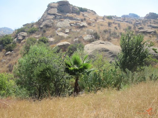 Landscapes 06 Landscapes 06