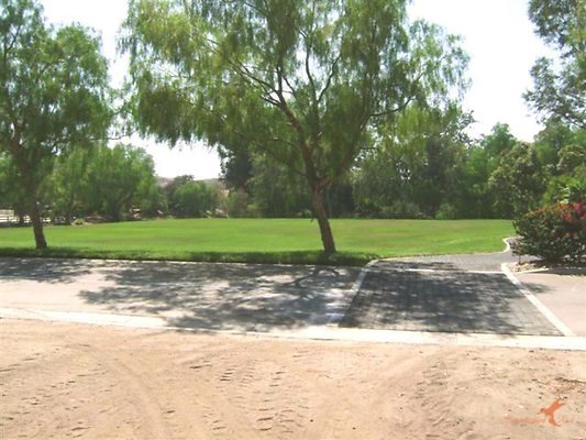 Landscapes 33 Lake Lawn 02 Landscapes 33 Lake Lawn 02