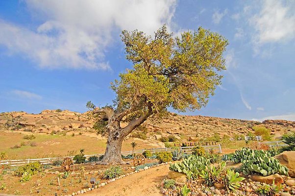 Landscapes 10 Landscapes 10