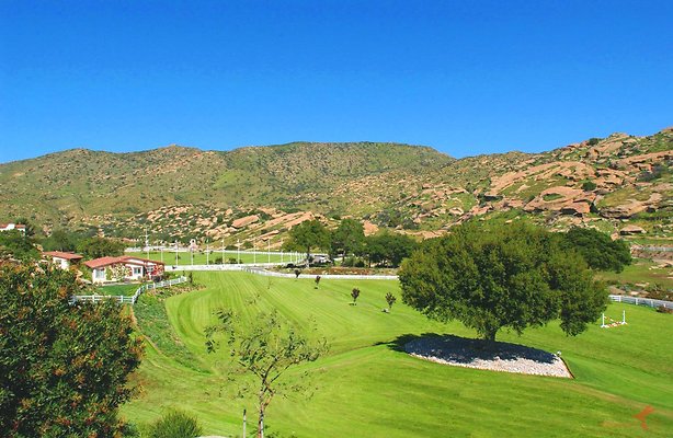 Landscapes 19 Derby Field 03 Landscapes 19 Derby Field 03