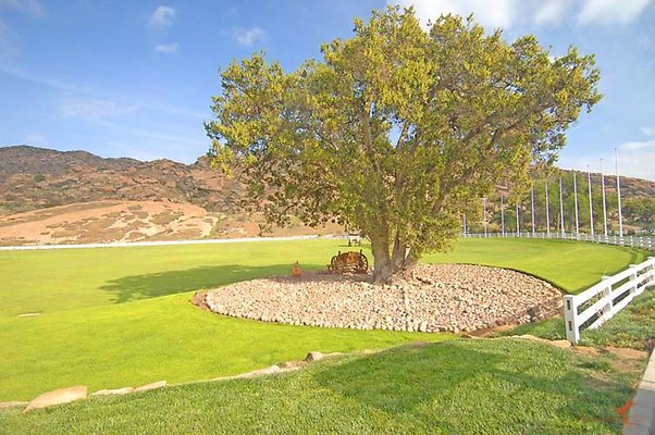 Landscapes 27 Grand Prix Field 05 Landscapes 27 Grand Prix Field 05