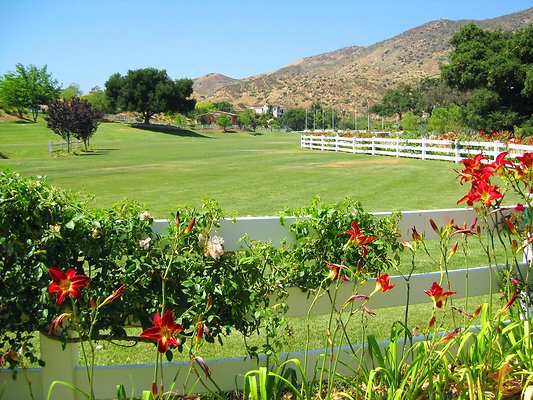 Landscapes 21 Derby Field 05 Landscapes 21 Derby Field 05