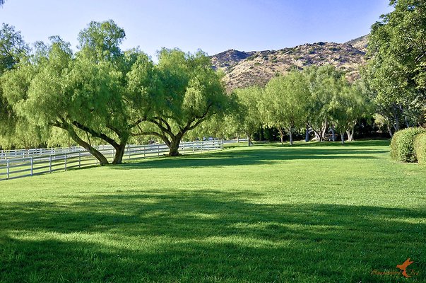 Landscapes 42 Sitting Bull Lawn 02 Landscapes 42 Sitting Bull Lawn 02