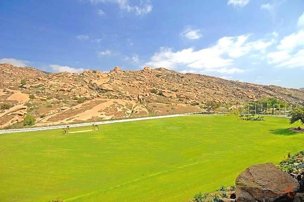 Landscapes 26 Grand Prix Field 04 Landscapes 26 Grand Prix Field 04