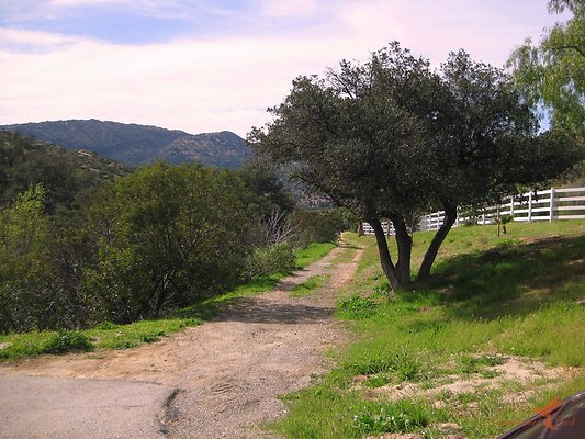 Roads 19 Western Paddocks