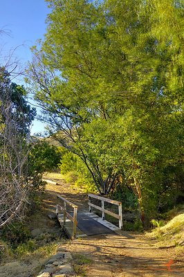 Trail 07 Creek Bed Bridge