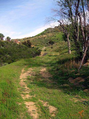 Roads 21 Western Paddocks