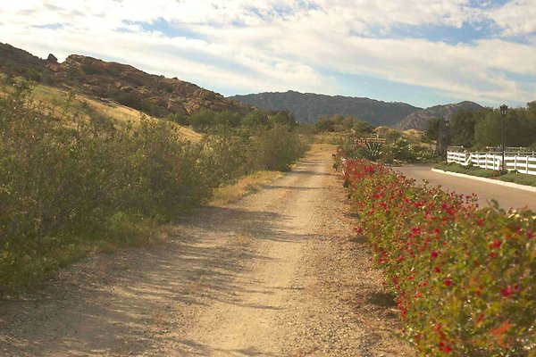 Trail 03 Grand Prix Field