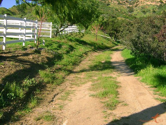 Roads 20 Western Paddocks