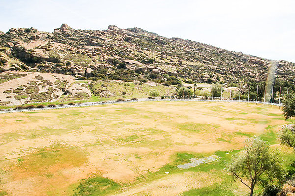 hummingbird 129 hummingbird 129