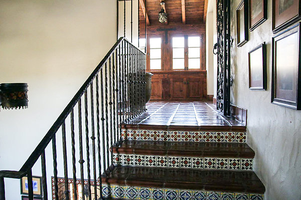 hummingbird 135 hummingbird 135