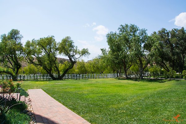 Sitting Bull 04 Pepper Tree Lawn