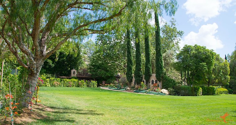 Sitting Bull 03 Peppertree Lawn