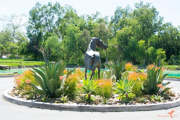 Outbuildings 05 Main Barn Outbuildings 05 Main Barn