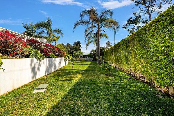 Still-132 2 Still-132 2