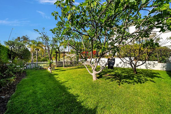 Still-130 2 Still-130 2