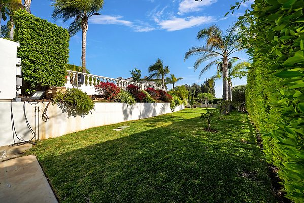 Still-131 2 Still-131 2