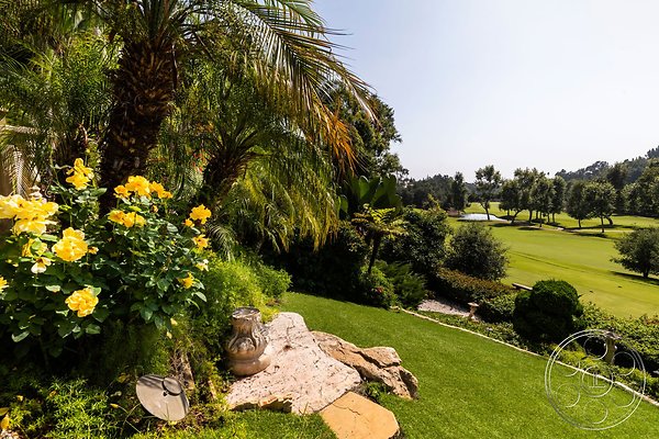 medit-134-89 medit-134-89