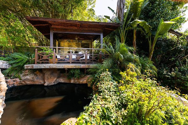 medit-134-81 medit-134-81