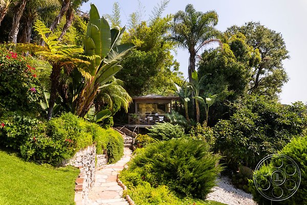 medit-134-83 medit-134-83