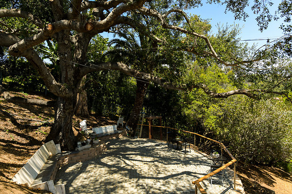 UNIVERSAL-D013-BW-67 UNIVERSAL-D013-BW-67