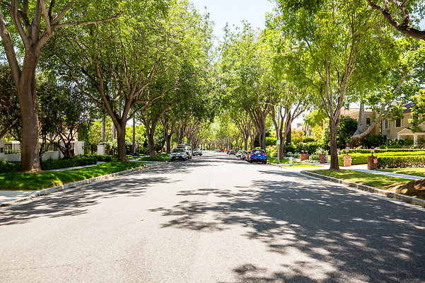 UNIVERSAL-D337-BH-2 UNIVERSAL-D337-BH-2