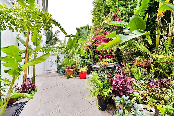 UNIVERSAL-A977-bh-47 UNIVERSAL-A977-bh-47