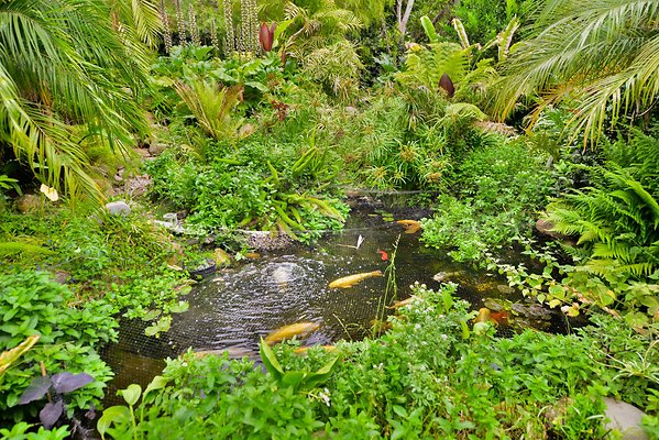 UNIVERSAL-A977-bh-22 UNIVERSAL-A977-bh-22