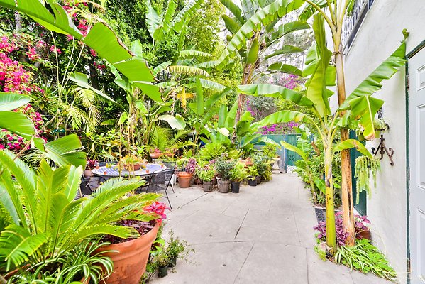 UNIVERSAL-A977-bh-46 UNIVERSAL-A977-bh-46