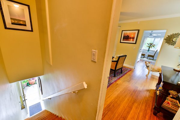 UNIVERSAL-A977-bh-49 UNIVERSAL-A977-bh-49