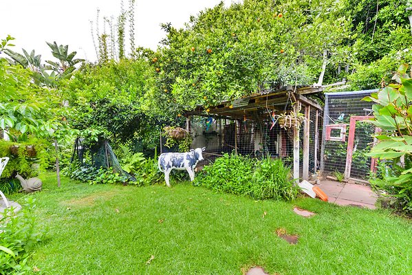 UNIVERSAL-A977-bh-38 UNIVERSAL-A977-bh-38