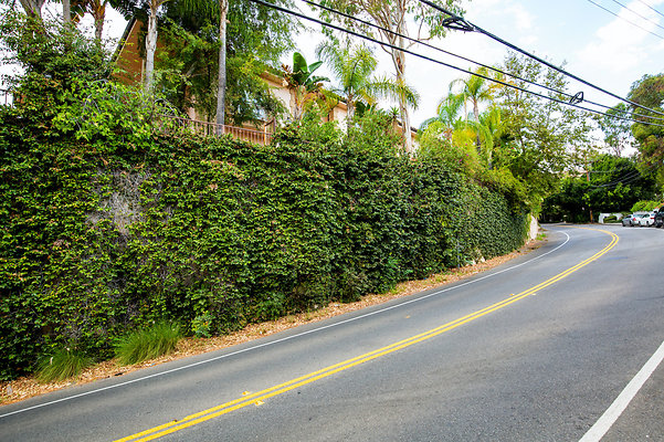 UNIVERSAL-D168-BW-2 UNIVERSAL-D168-BW-2